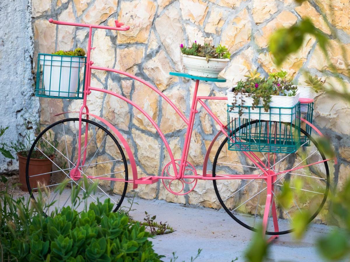 Sun Gardens Villa Šibenik Dış mekan fotoğraf